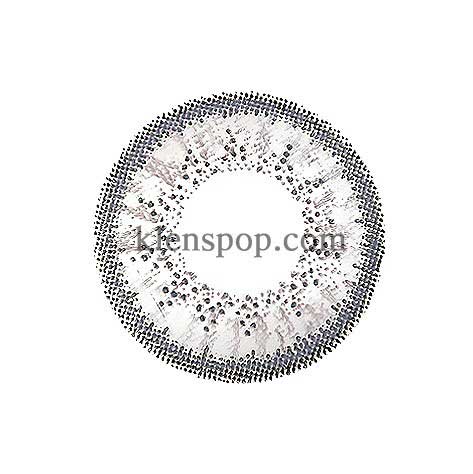 Aryan Grey (A21) (2Pcs) 6 Months Colored Contacts