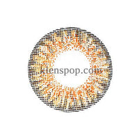 Main-Image-Ashley-S-Deep-Brown-Colored-Contacts-2Pcs-6-Months