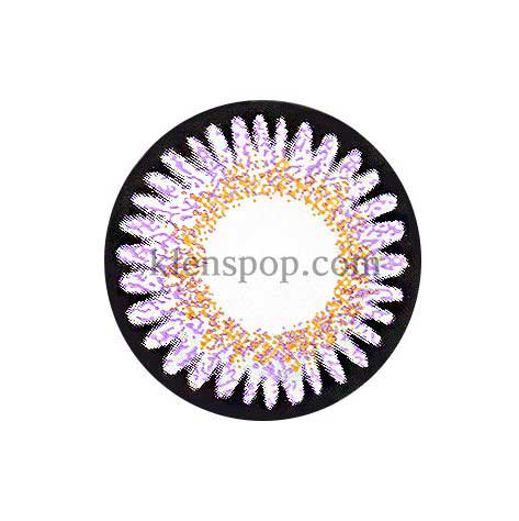 Bambi Violet (2Pcs) 6 Months Colored Contacts