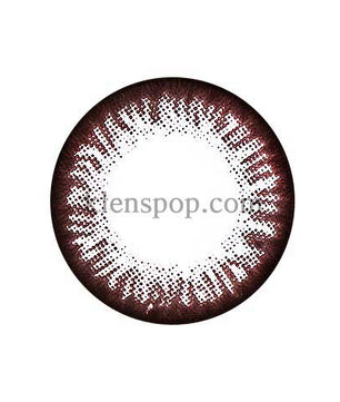 Main-Image-Clear-Color-Cl-008-Brown-2pcs-6-Months-Colored-Contacts