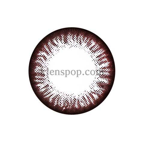 Clear Color CL 008 Brown (2Pcs) 6 Months Colored Contacts