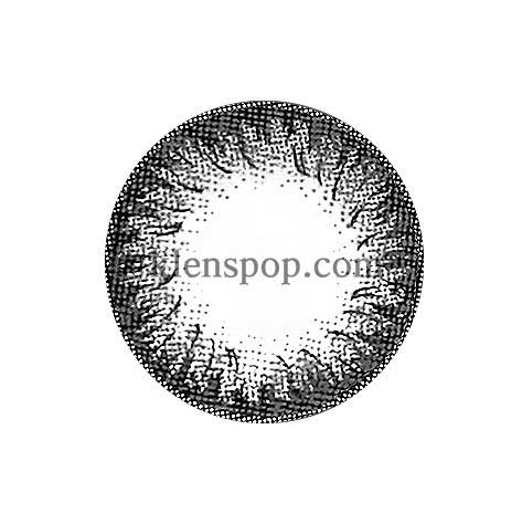 Dali-2 Extra Size Grey (2Pcs) 6 Months Colored Contacts