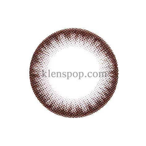 Dali Brown (Hyperopia) (2Pcs) 6 Months Colored Contacts