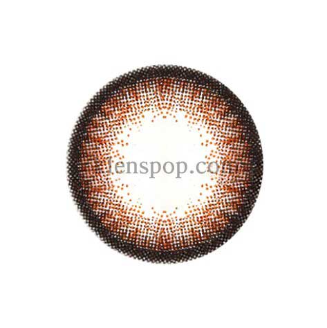 Dali Extra Size Brown (2Pcs) 6 Months Colored Contacts