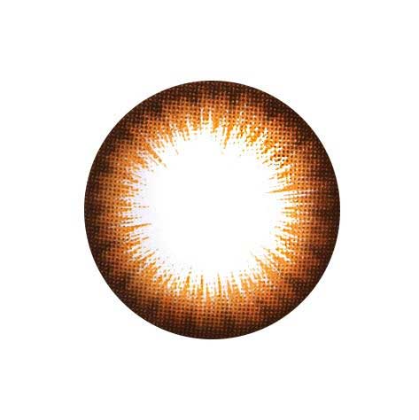 Dandy Brown (2Pcs) 6 Months Colored Contacts