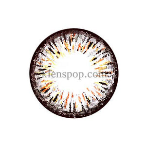 Main-Image-Ellen-Panda-Brown-4Color-2pcs-6-Months-Colored-Contacts