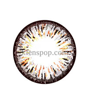 Main-Image-Ellen-Panda-Brown-4Color-2pcs-6-Months-Colored-Contacts