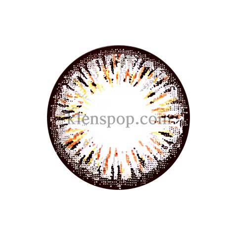 Ellen 4Color Brown Colored Contacts (2Pcs) 6 Months