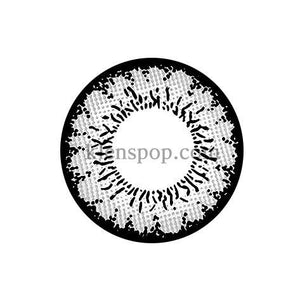 Main-Image-Ellen-Panda-PM-Grey-2pcs-6-Months-Colored-Contacts