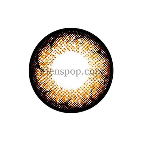 I Fax Y33 Brown (2Pcs) 6 Months Colored Contacts