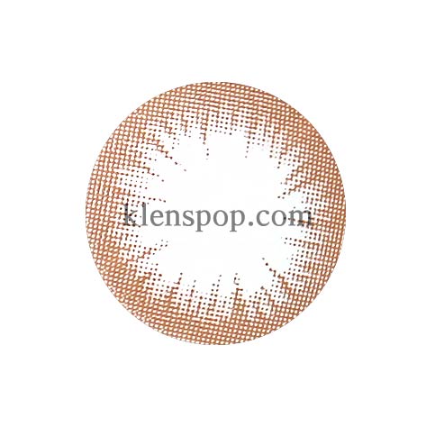 Julia Brown (2Pcs) 6 Months Colored Contacts