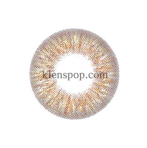 Mistique Brown (Classi) (2Pcs) 6 Months (Silicone Hydrogel) Colored Contacts