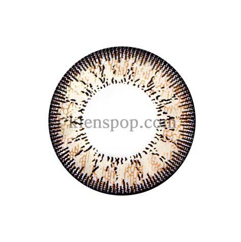 Natural Two Color Brown (2Pcs) 6 Months Natural Lenses