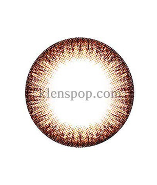 Main-Image-Scl-25-Brown-2pcs-Months-Colored-Contacts