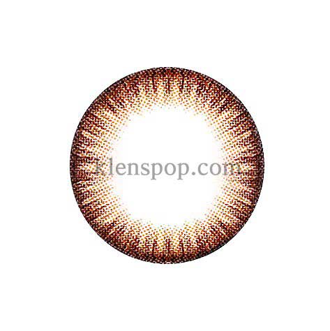 SCL 25 Brown (2Pcs) 6 Months (Silicone Hydrogel) Colored Contacts