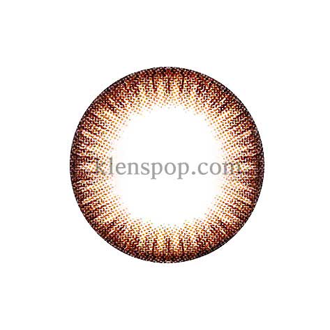 SCL 25 Brown (Toric Lens) (2pcs) 6 Months Sph -1.00 ~ -8.50 Cyl -0.75, -1.25, -1.75 Ax 180 Bc 8.8