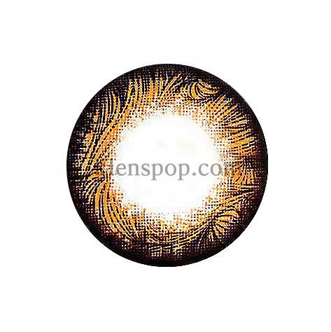 SCL Edge Brown (2Pcs) 6 Months (Silicone Hydrogel) Colored Contacts