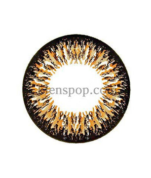 Main-Image-Ta204-Brown-2pcs-6-Months-Colored-Contacts