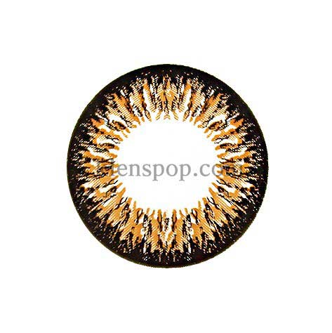 Main-Image-Ta204-Brown-2pcs-6-Months-Colored-Contacts