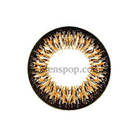 Main-Image-Ta204-Brown-2pcs-6-Months-Colored-Contacts