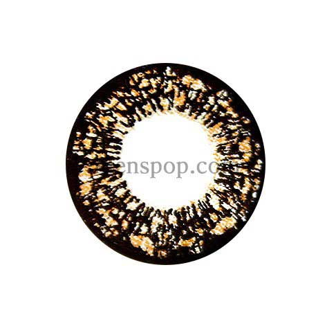 TA70 Brown (2Pcs) 6 Months Colored Contacts