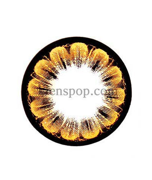 Main-Image-Two-Two-Brown-2pcs-6-Months-Colored-Contacts