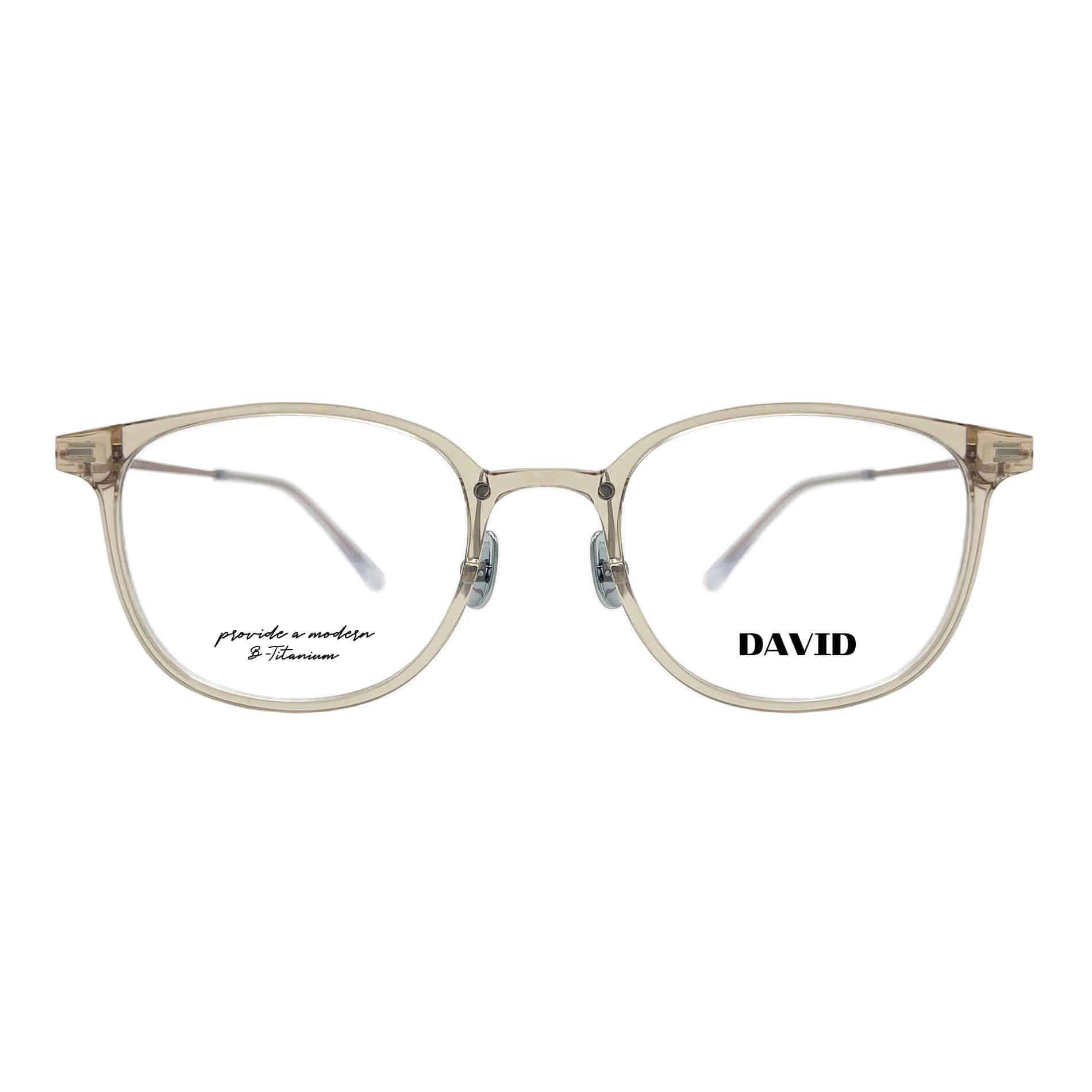 D-MT66 Glasses (Titanium / Arkema) (50size) 50□17 142