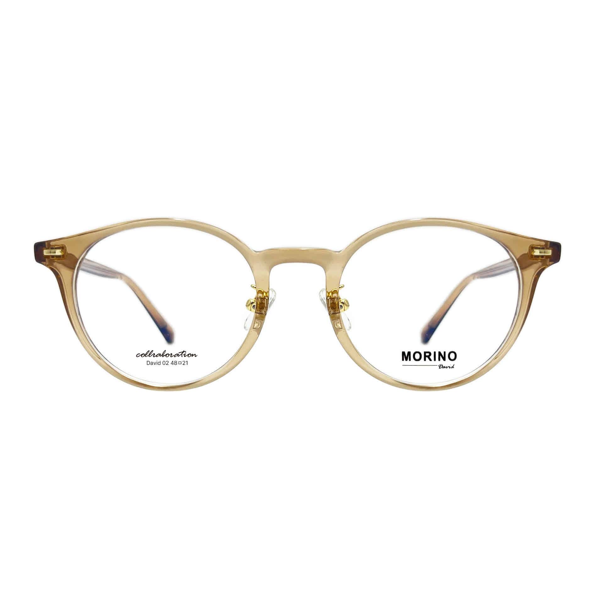 David-02 Glasses (Memory Plastic/ Acetate) (48size) 48□21 148