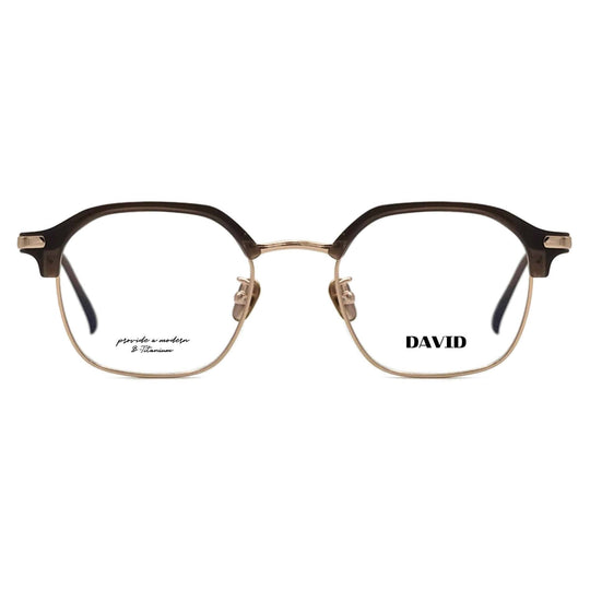 David-T-GJ Glasses (Memory Plastic/ Acetate) (51size) 51□21 146