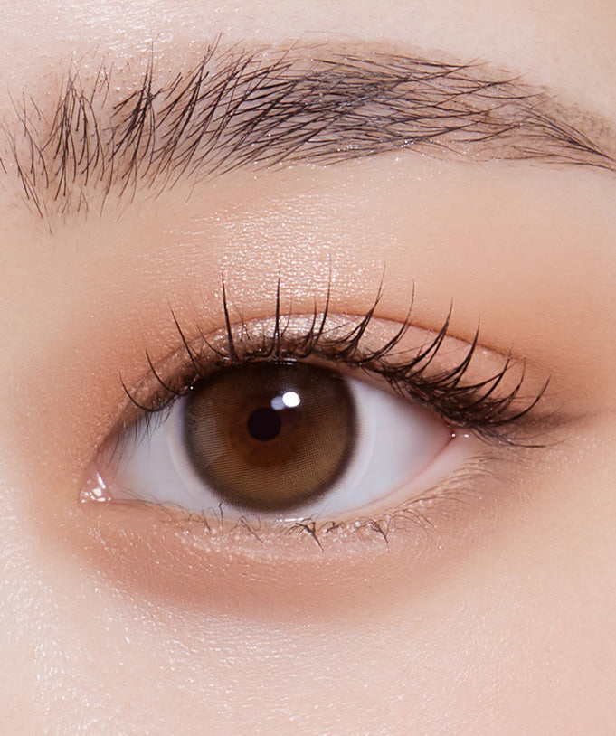 Purity Shine 1Day Hazel Brown (10pcs) MPC Colored Contacts