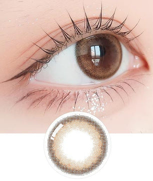 School Ring Brown (2pcs) Monthly ( Buy 1 Get 1 Free ) Colored Contacts