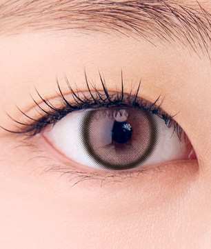 Neo Ism 1Day Milk Brown (50Pcs) Mpc Lens Colored Contacts
