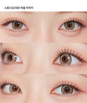 Glint 1Day Brown (10pcs) Daily MPC LENS - product details