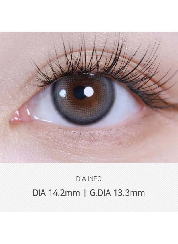 Sweetfy Grey (2pcs) Monthly ( Buy  1 Get 1 Free )