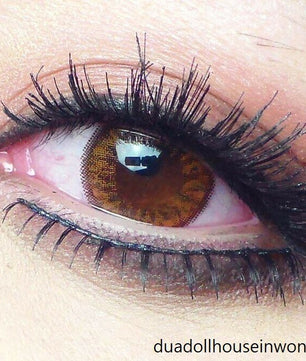 Bunny Color Brown Colored Contacts (2Pcs) 6 Months