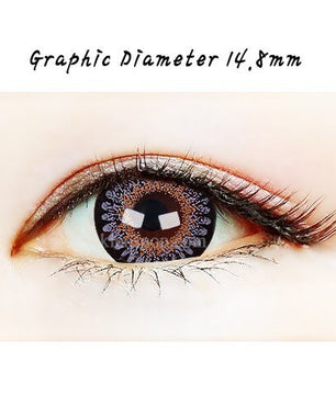 Close-up-Image-of-an-eye-wearing-Bambi-Grey-2pcs-6-Months-Colored-Contacts
